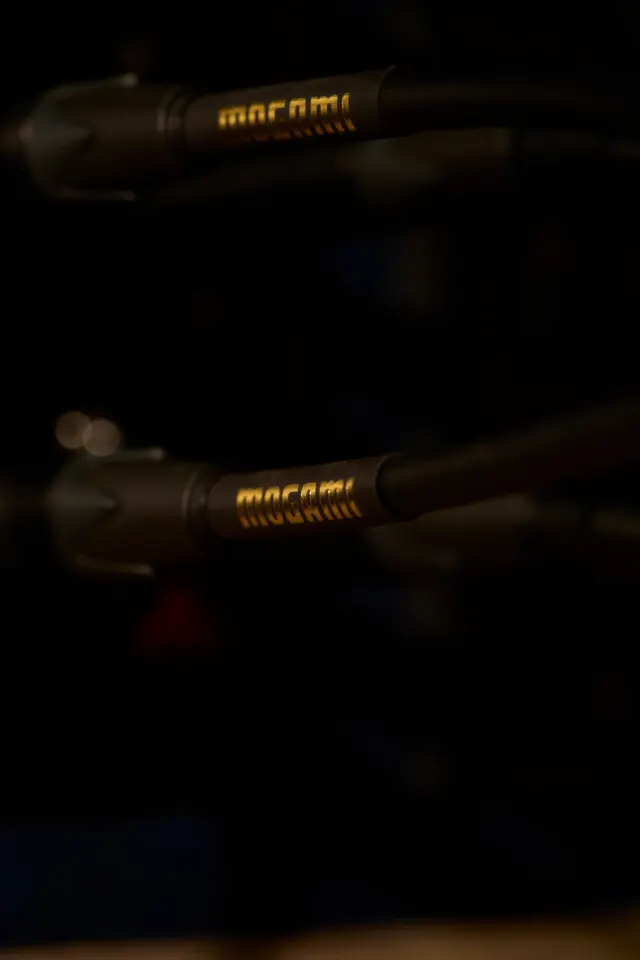 El cable Mogami conectado al micrófono