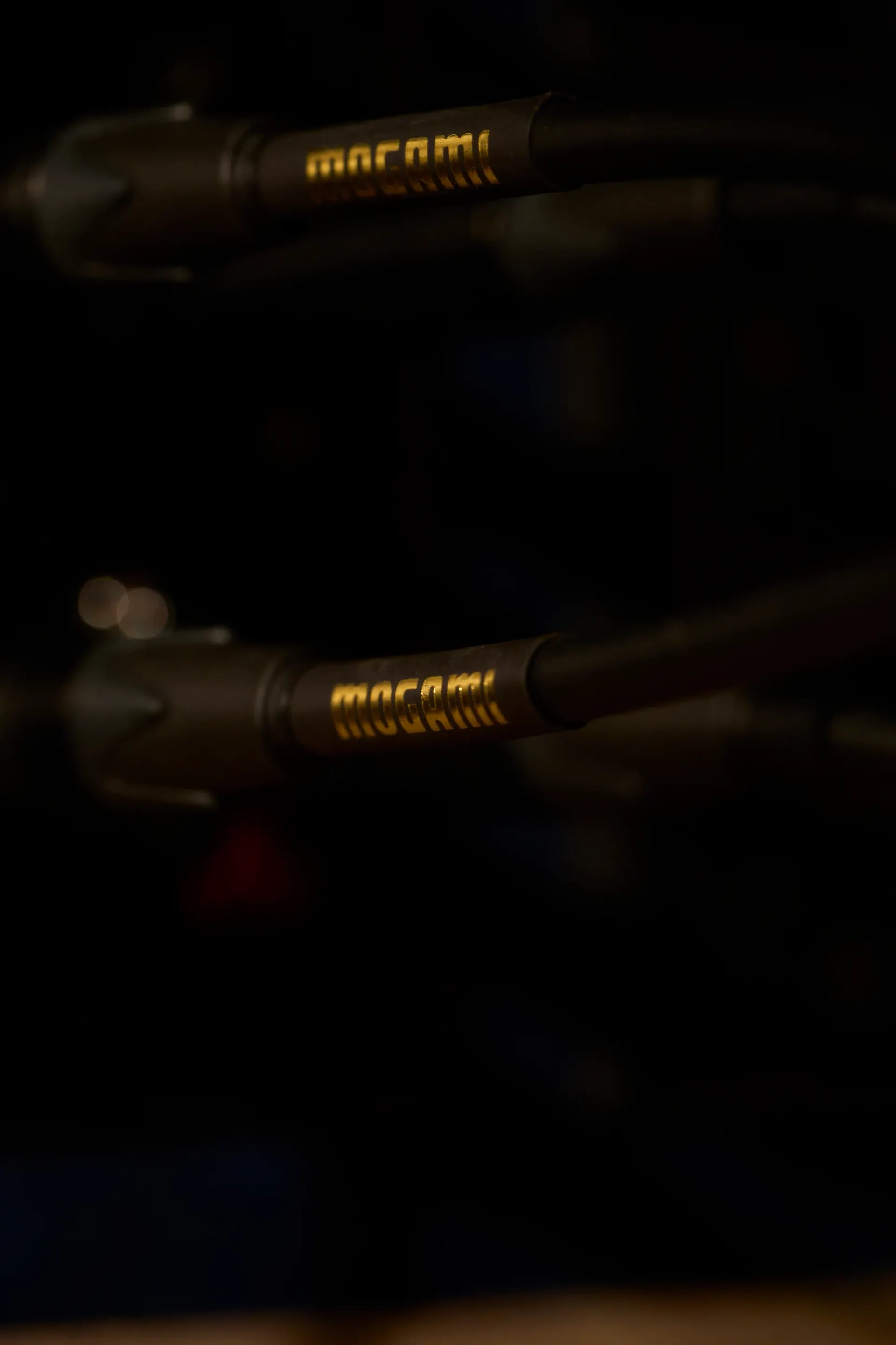 El cable Mogami conectado al micrófono