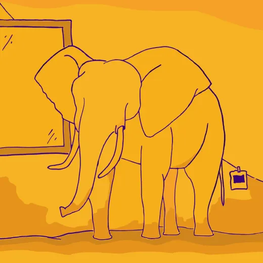 Portada de Elefante