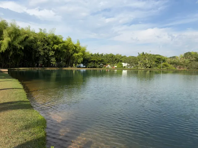 La otra orilla del lago vista desde el estudio