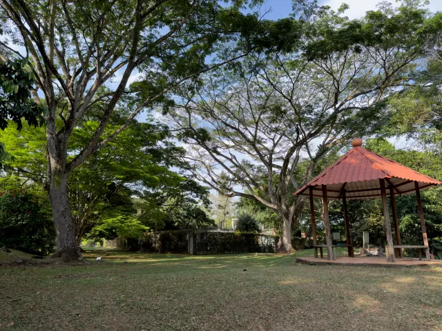 Un quiosco entre los árboles del terreno