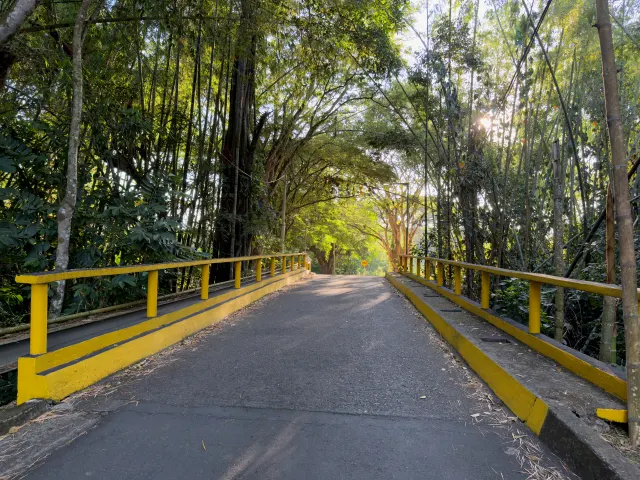 El puente amarillo del camino de entrada