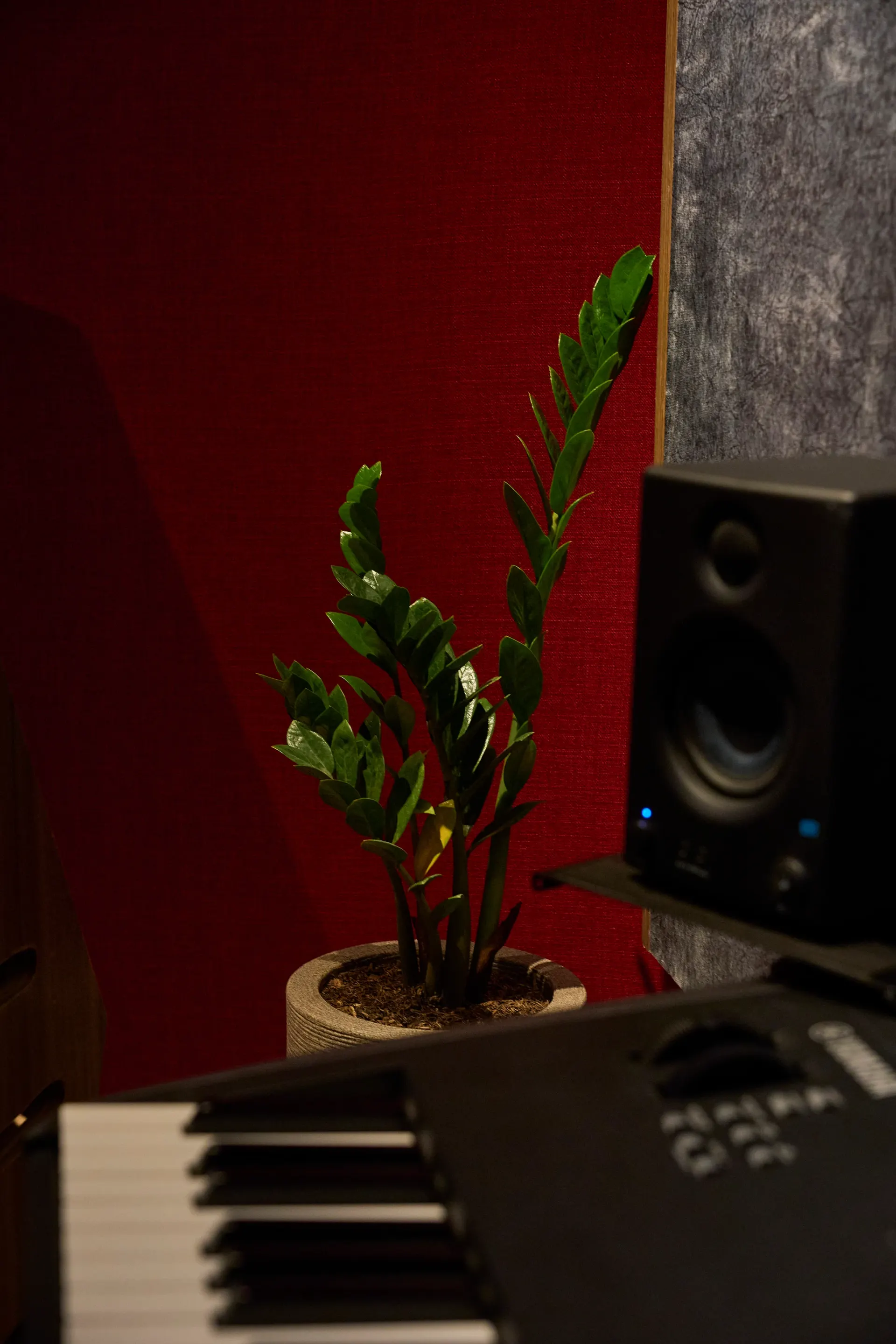 Una planta junto a un monitor en la sala de control