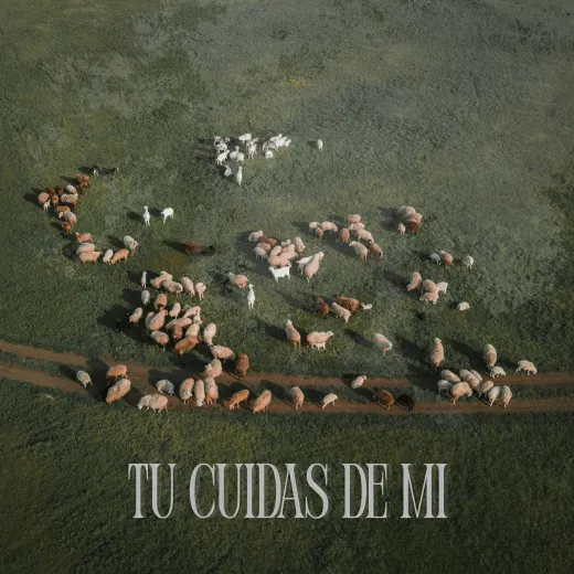 Portada de Tu cuidas de mí