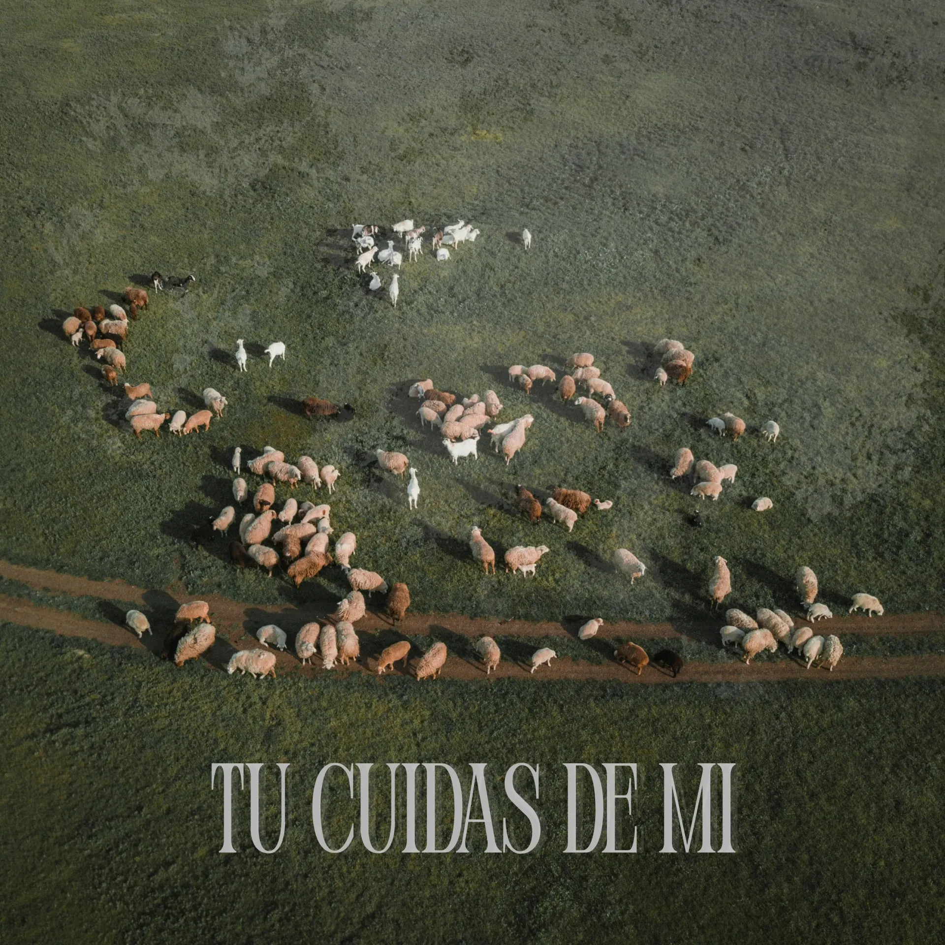 Portada de Tu cuidas de mí